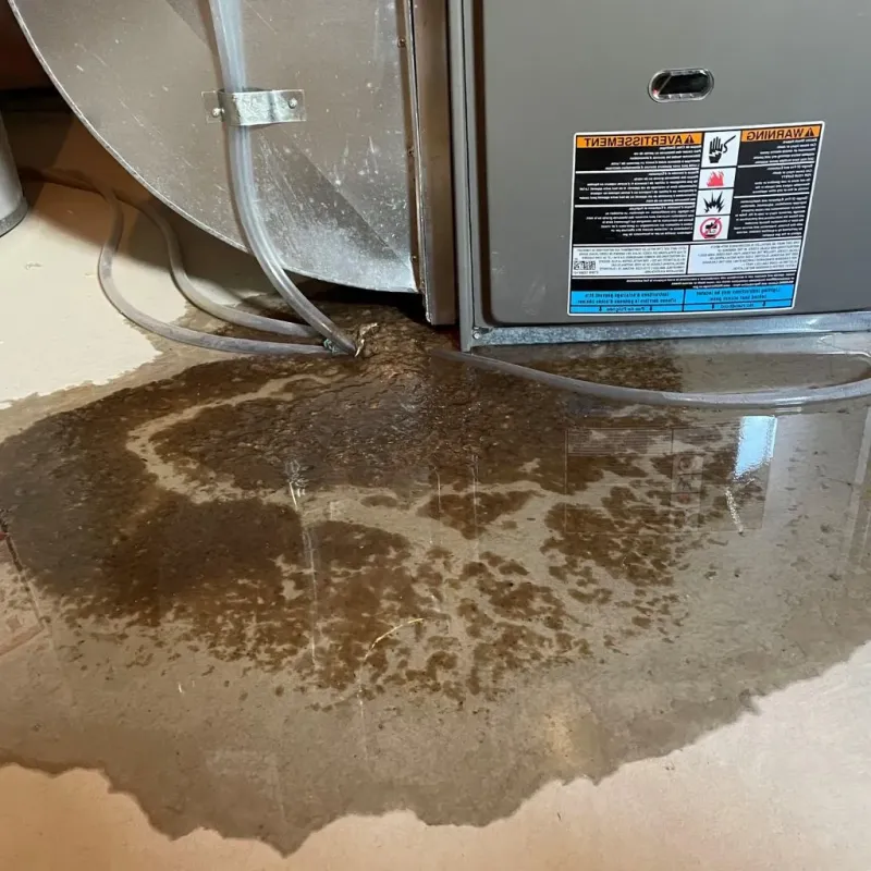 Pipe Burst and Leak Restoration in Highland Falls, NY